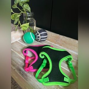 XXS animal harness set